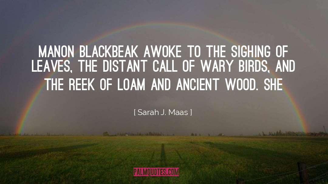Awoke quotes by Sarah J. Maas