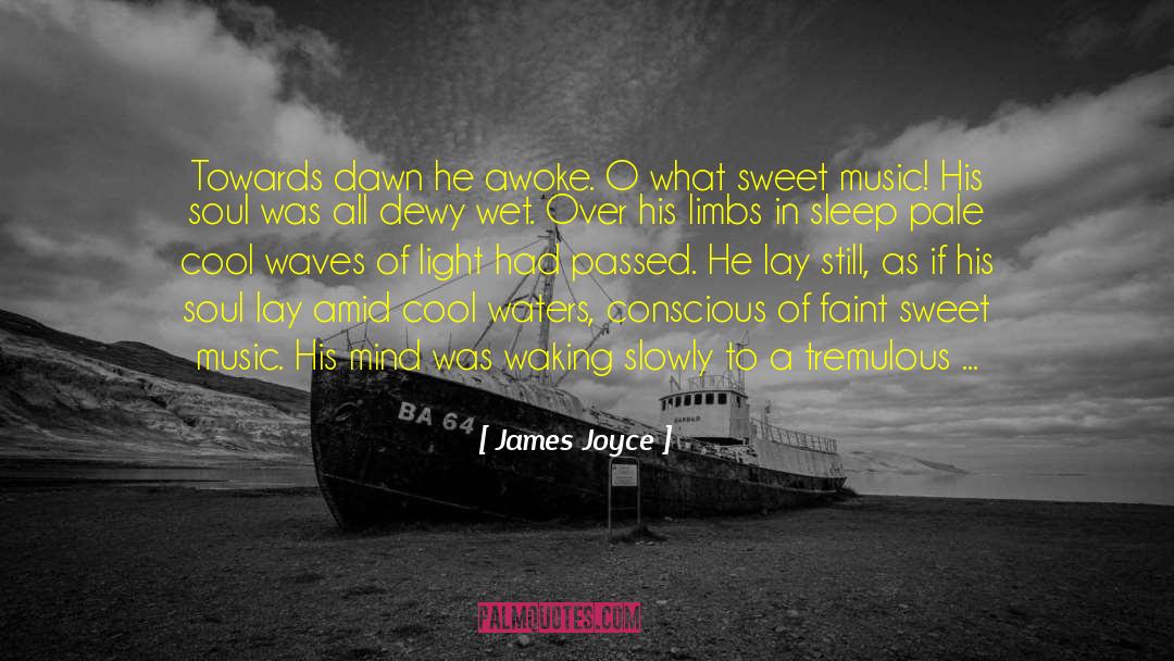 Awoke quotes by James Joyce