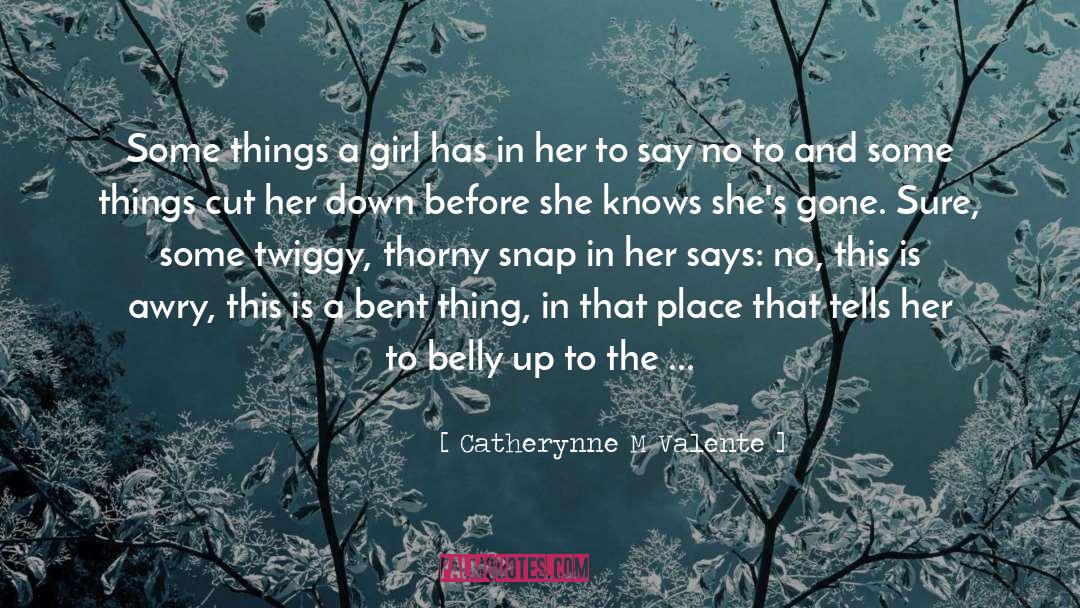 Awry quotes by Catherynne M Valente