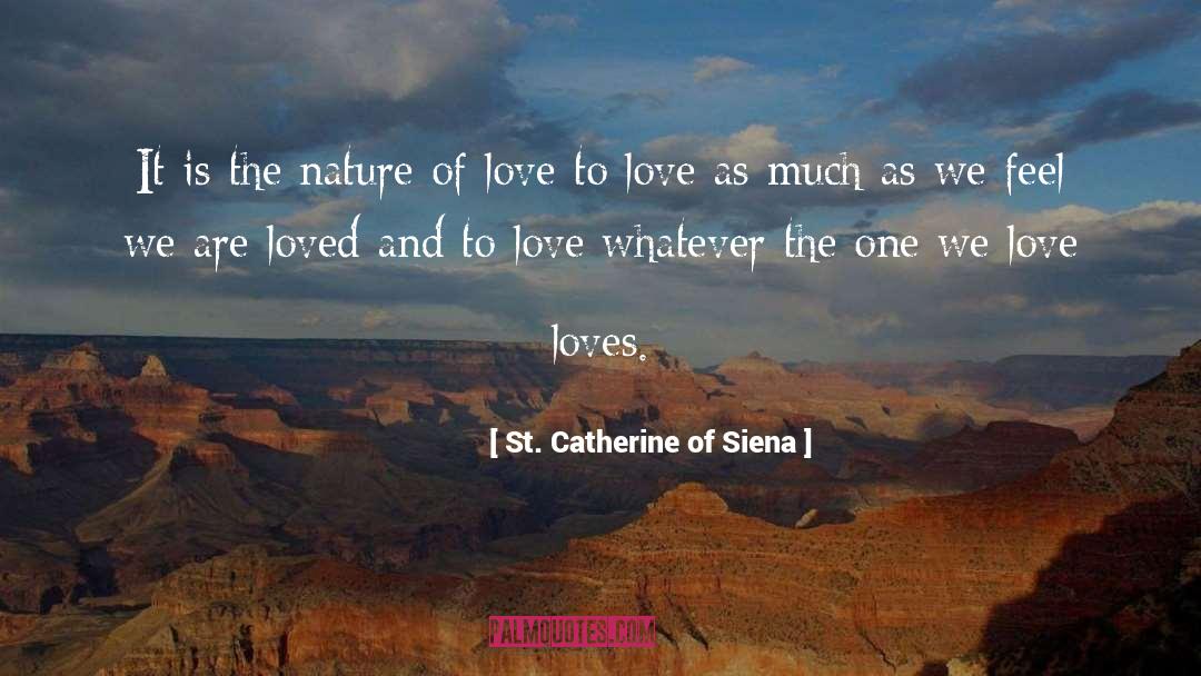 Awwww The Feels quotes by St. Catherine Of Siena