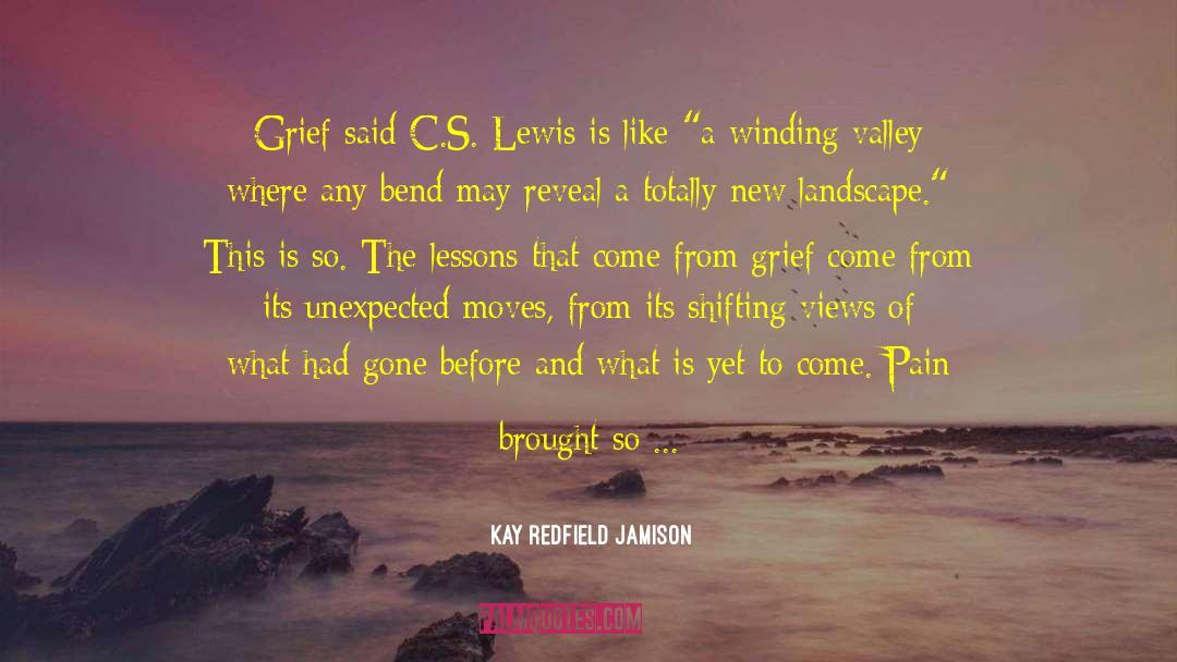 Awwww The Feels quotes by Kay Redfield Jamison