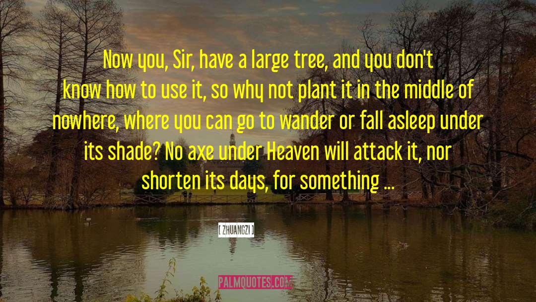 Axe quotes by Zhuangzi