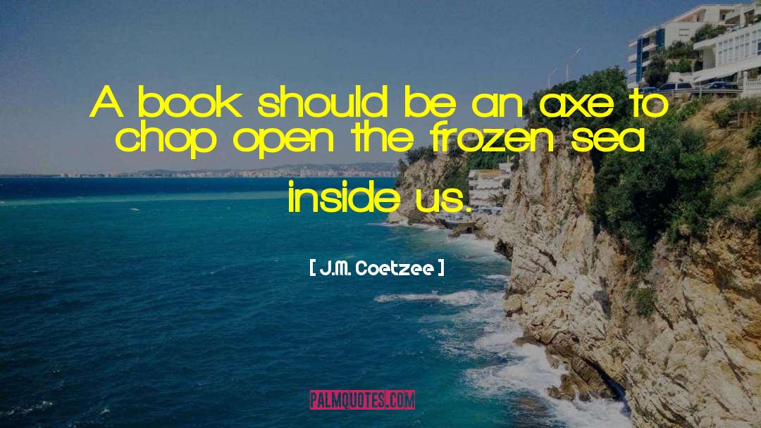 Axe To Grind quotes by J.M. Coetzee