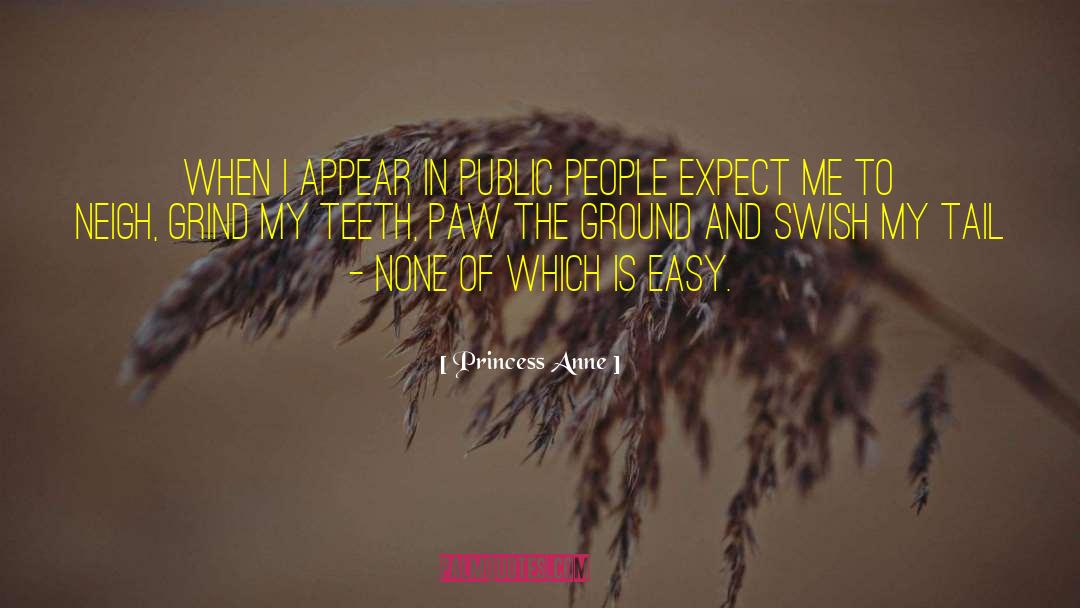 Axe To Grind quotes by Princess Anne
