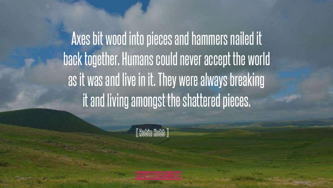 Axes quotes by Robin Hobb