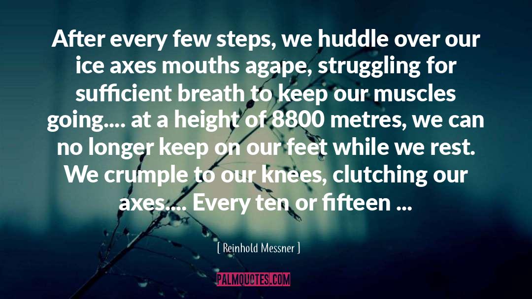 Axes quotes by Reinhold Messner