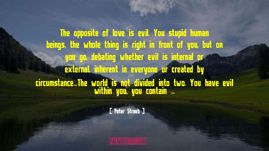Axis Of Evil quotes by Peter Straub
