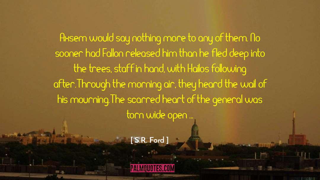 Axsem quotes by S.R. Ford