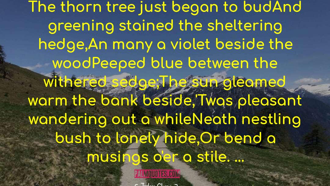 Ayama And The Thorn Wood quotes by John Clare