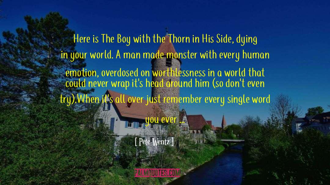 Ayama And The Thorn Wood quotes by Pete Wentz