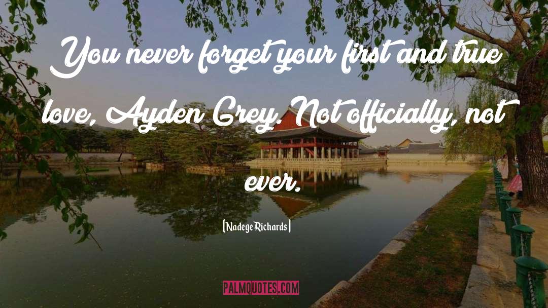 Ayden quotes by Nadege Richards