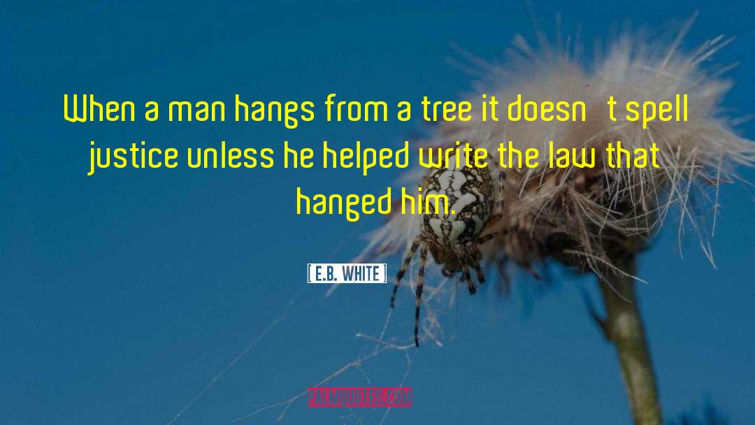 Ayuso Tree quotes by E.B. White