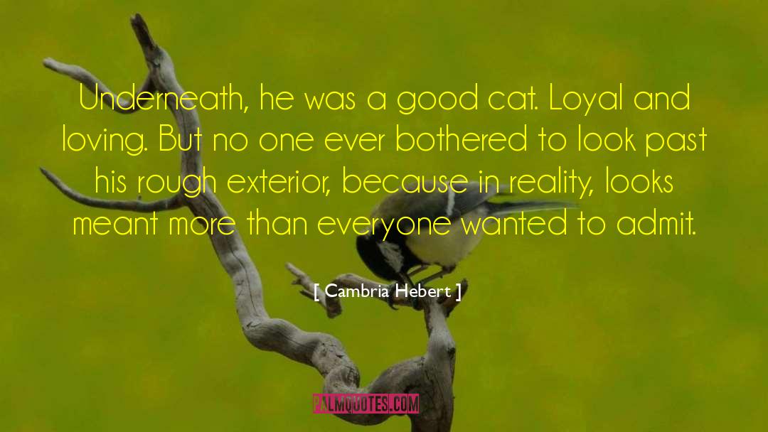 Azeline Hebert quotes by Cambria Hebert