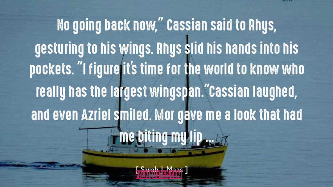 Azriel And Michelene quotes by Sarah J. Maas