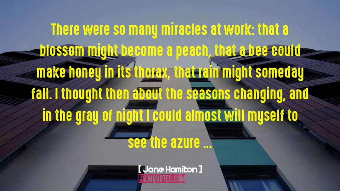 Azure quotes by Jane Hamilton