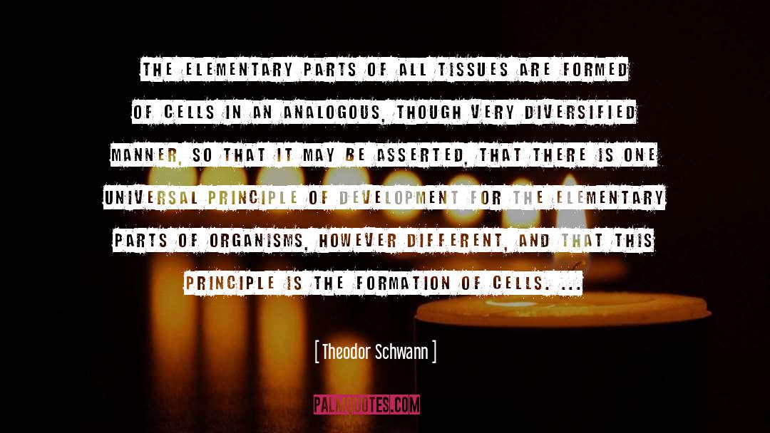 B Cells quotes by Theodor Schwann