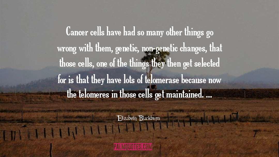 B Cells quotes by Elizabeth Blackburn