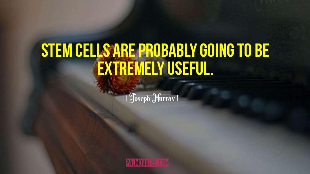 B Cells quotes by Joseph Murray