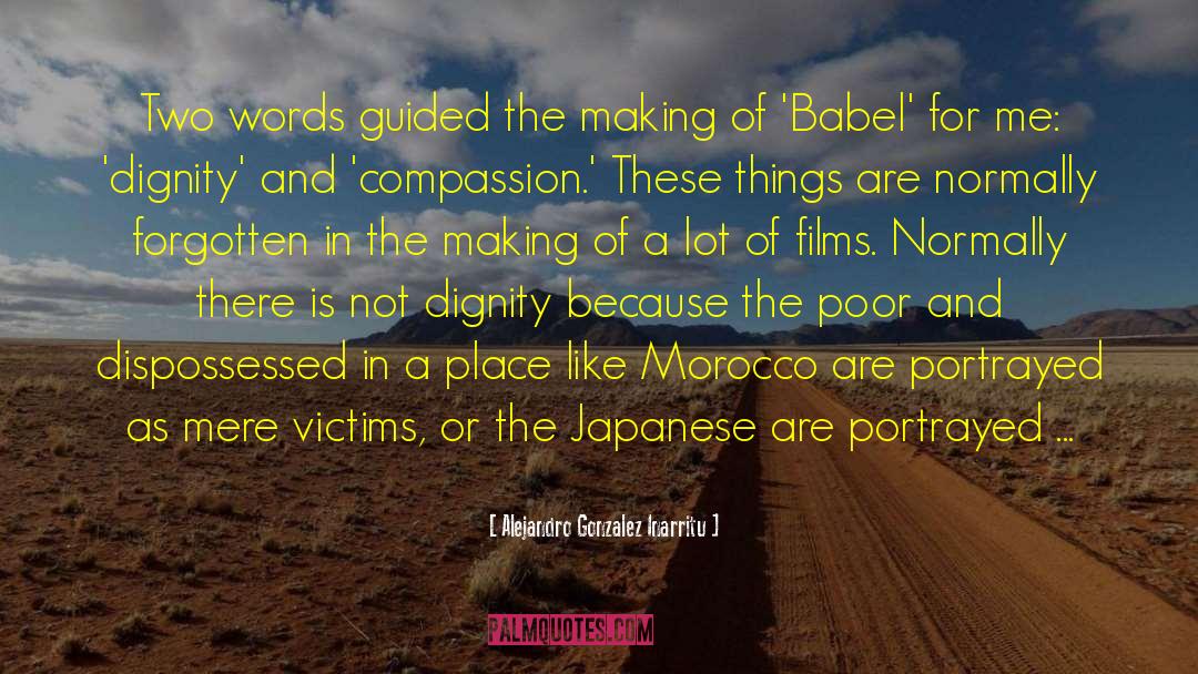Babel quotes by Alejandro Gonzalez Inarritu