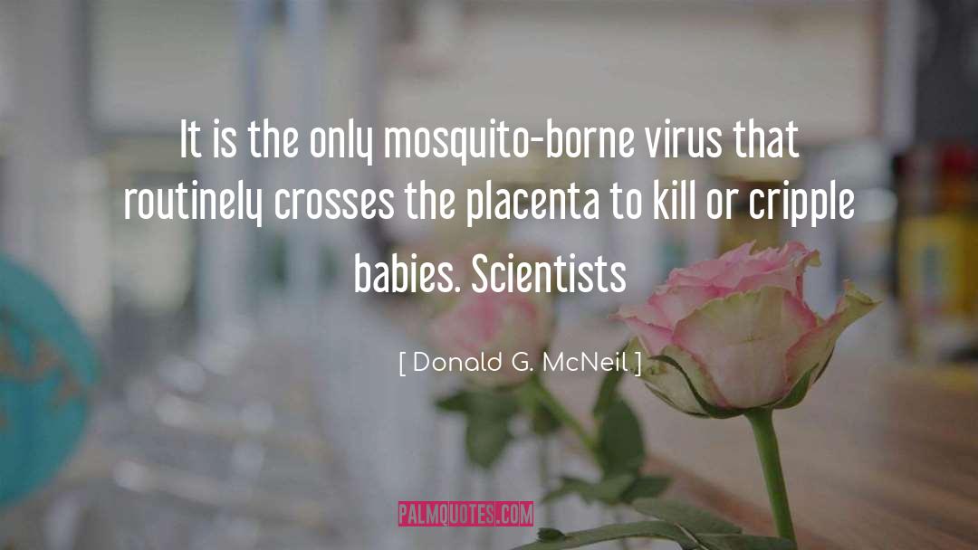 Babies quotes by Donald G. McNeil