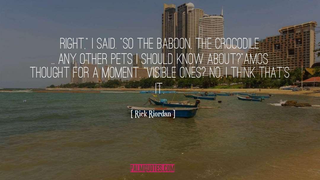 Baboon quotes by Rick Riordan
