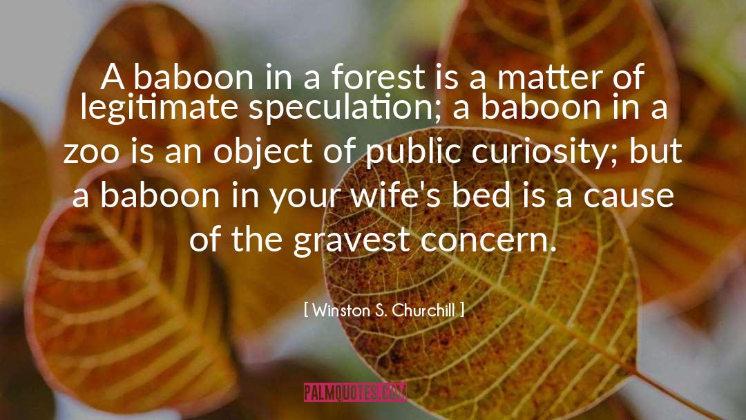 Baboon quotes by Winston S. Churchill