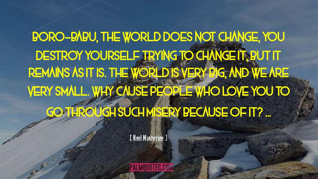 Babu R quotes by Neel Mukherjee