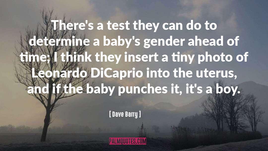 Baby Boy Ultrasound quotes by Dave Barry
