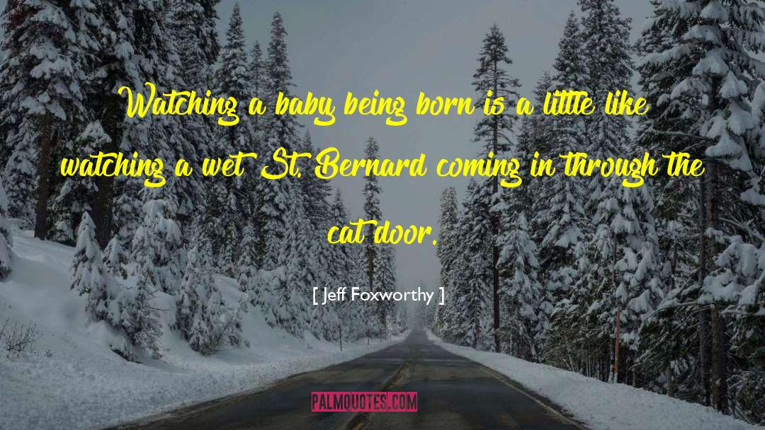 Baby Kissing quotes by Jeff Foxworthy