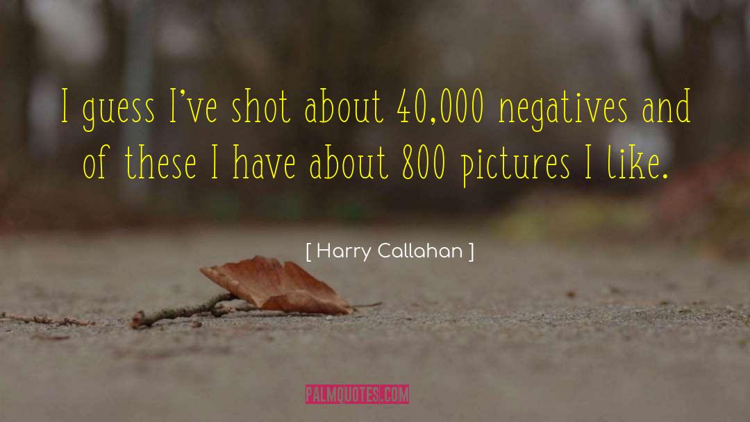 Baby Pictures quotes by Harry Callahan