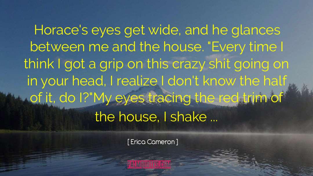 Baby Saga quotes by Erica Cameron