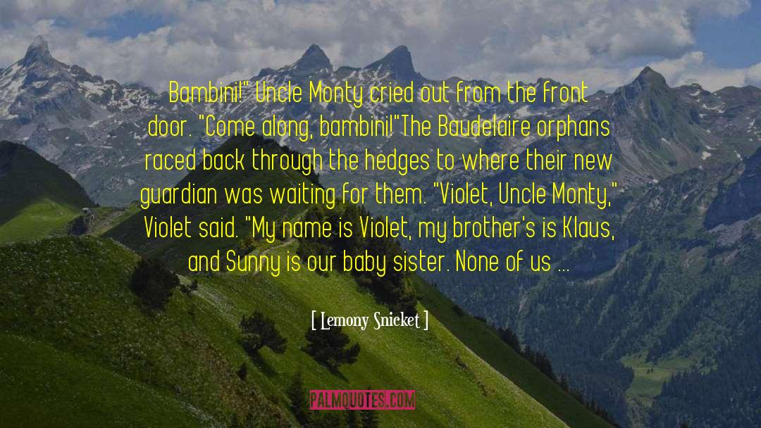 Baby Sister quotes by Lemony Snicket