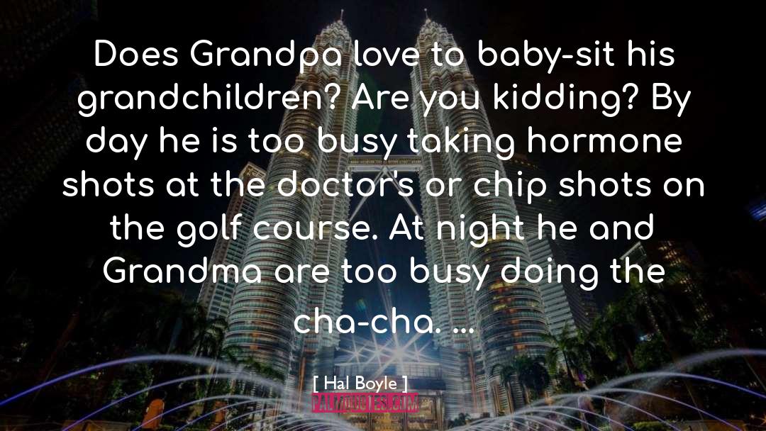 Baby Sit quotes by Hal Boyle