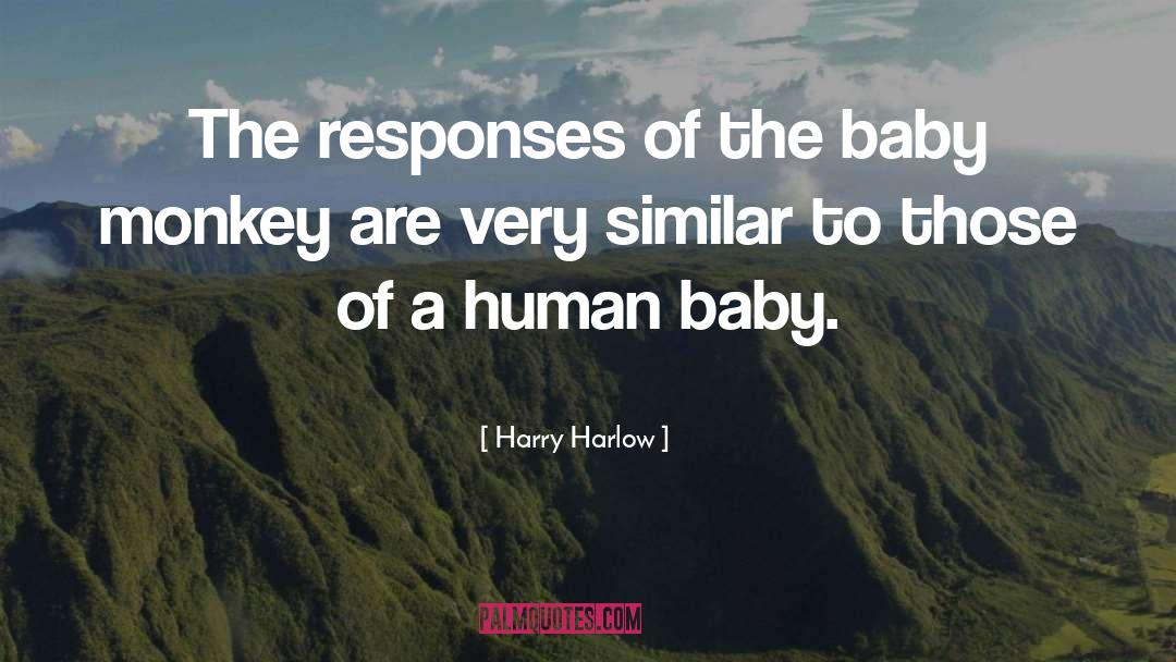 Baby Snuggle quotes by Harry Harlow