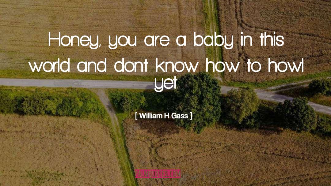 Baby Steps quotes by William H Gass