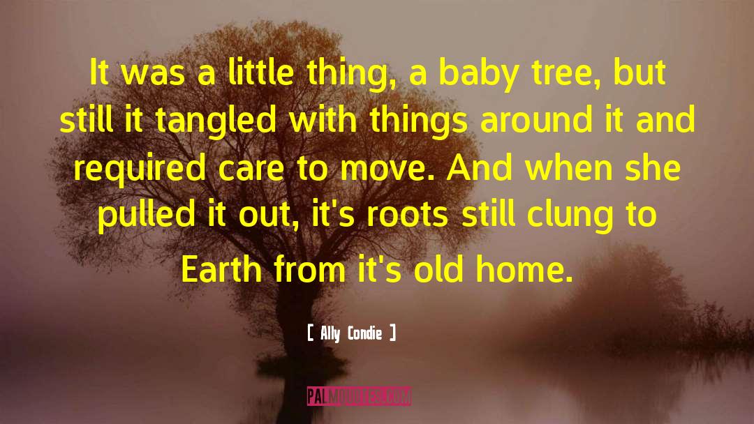 Baby Tree quotes by Ally Condie
