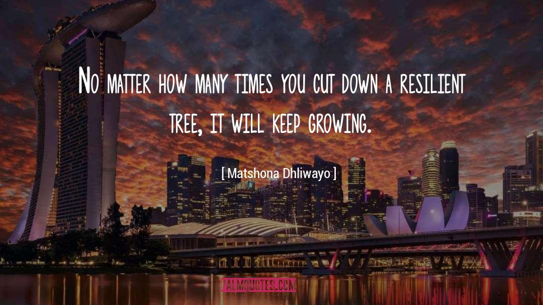 Baby Tree quotes by Matshona Dhliwayo