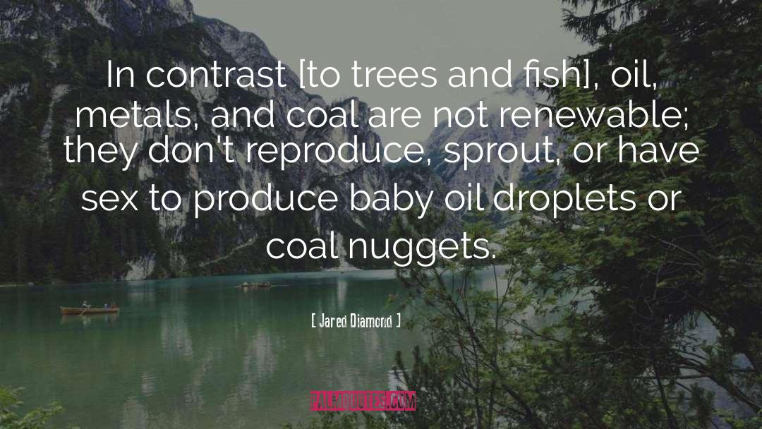 Baby Tree quotes by Jared Diamond