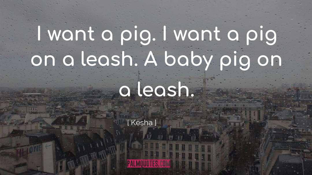 Baby Wish quotes by Kesha