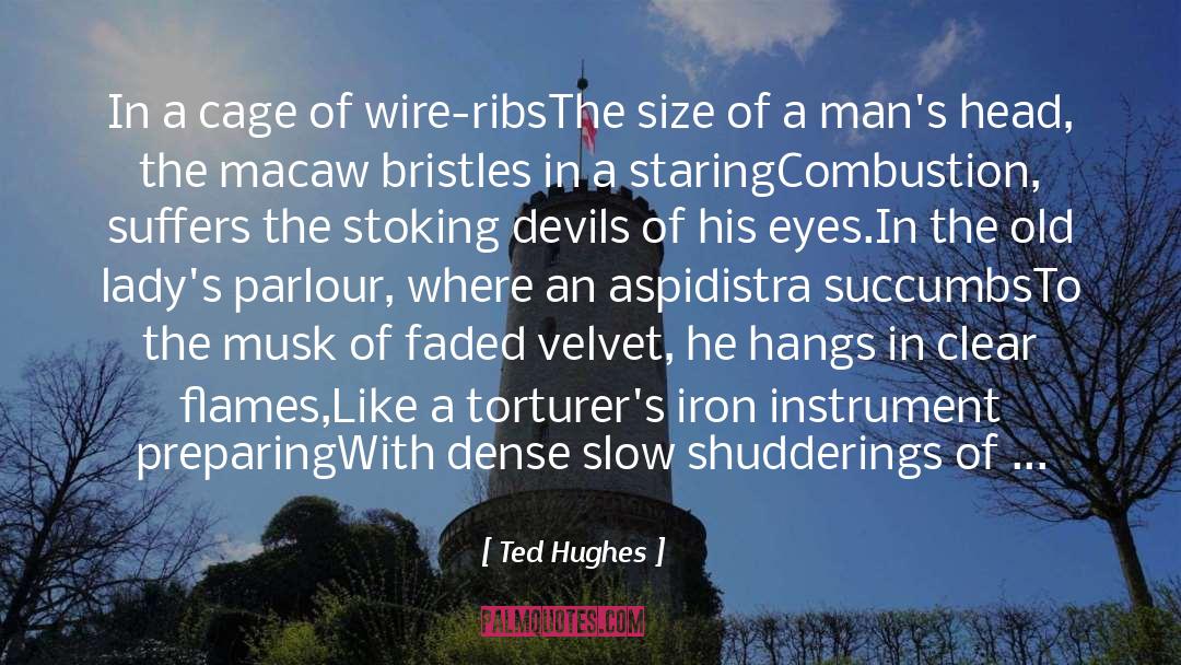 Bacharach Combustion quotes by Ted Hughes