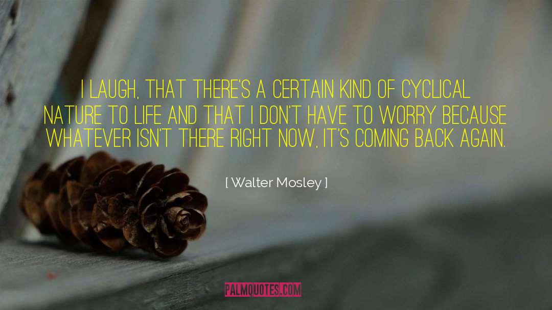 Back Again quotes by Walter Mosley