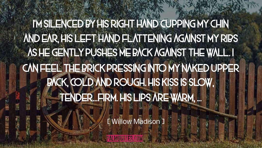 Back Against The Wall quotes by Willow Madison