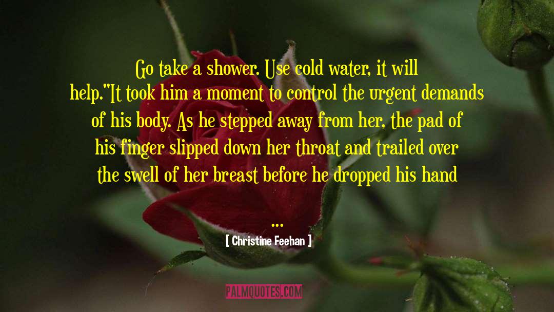 Back Away quotes by Christine Feehan