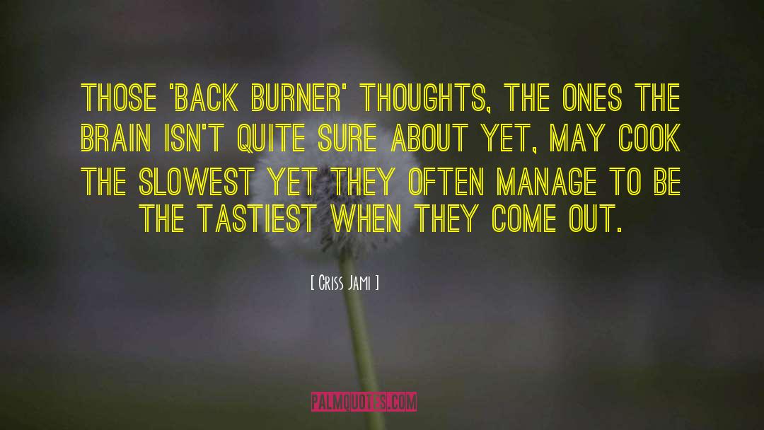 Back Burner quotes by Criss Jami