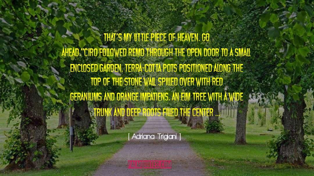 Back Garden Wall quotes by Adriana Trigiani