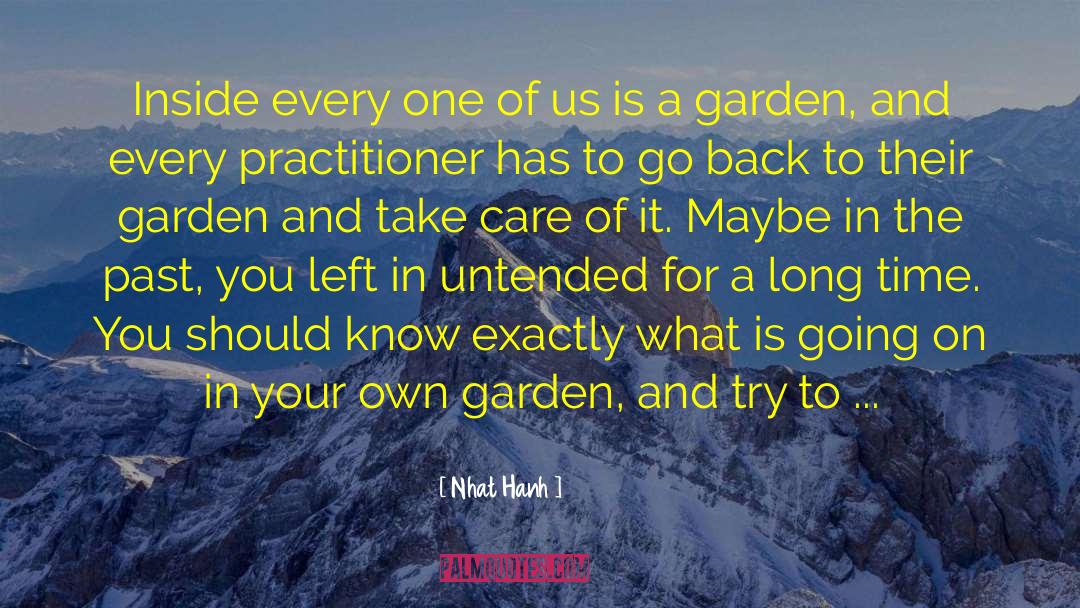 Back Garden Wall quotes by Nhat Hanh