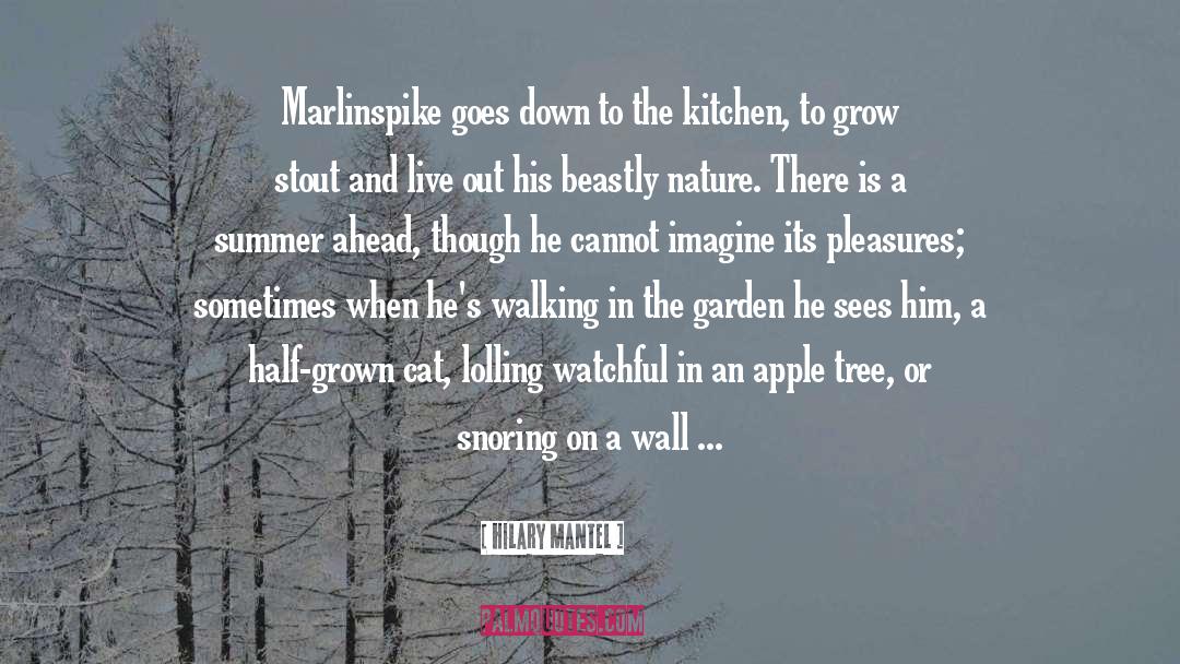 Back Garden Wall quotes by Hilary Mantel