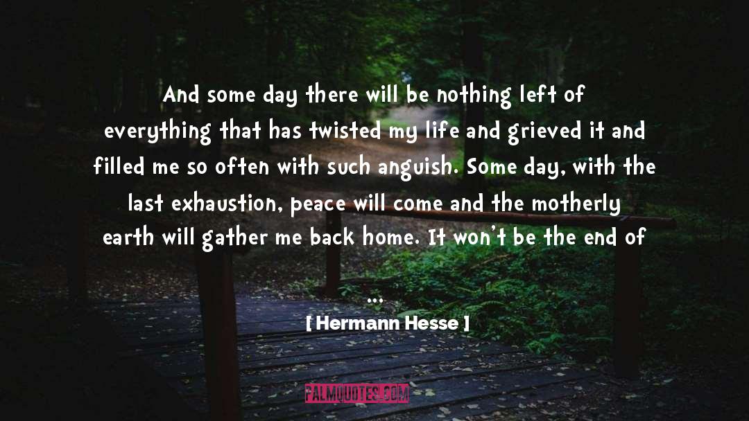 Back Home quotes by Hermann Hesse