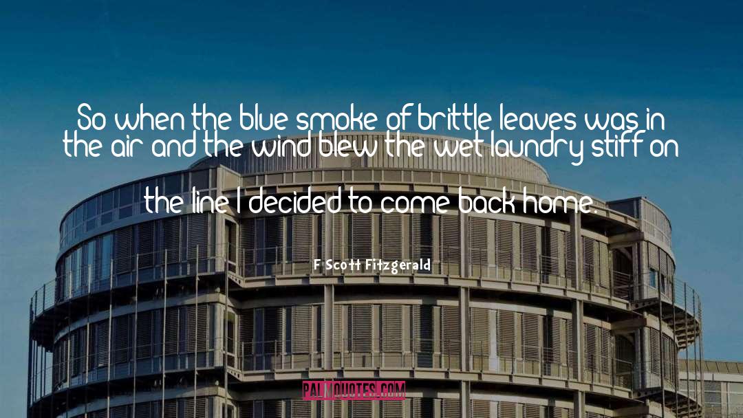 Back Home quotes by F Scott Fitzgerald