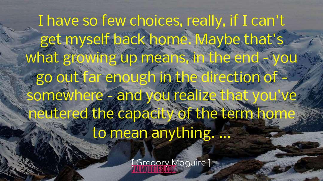 Back Home quotes by Gregory Maguire